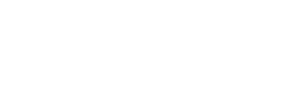 Logo white - 3D Voxel